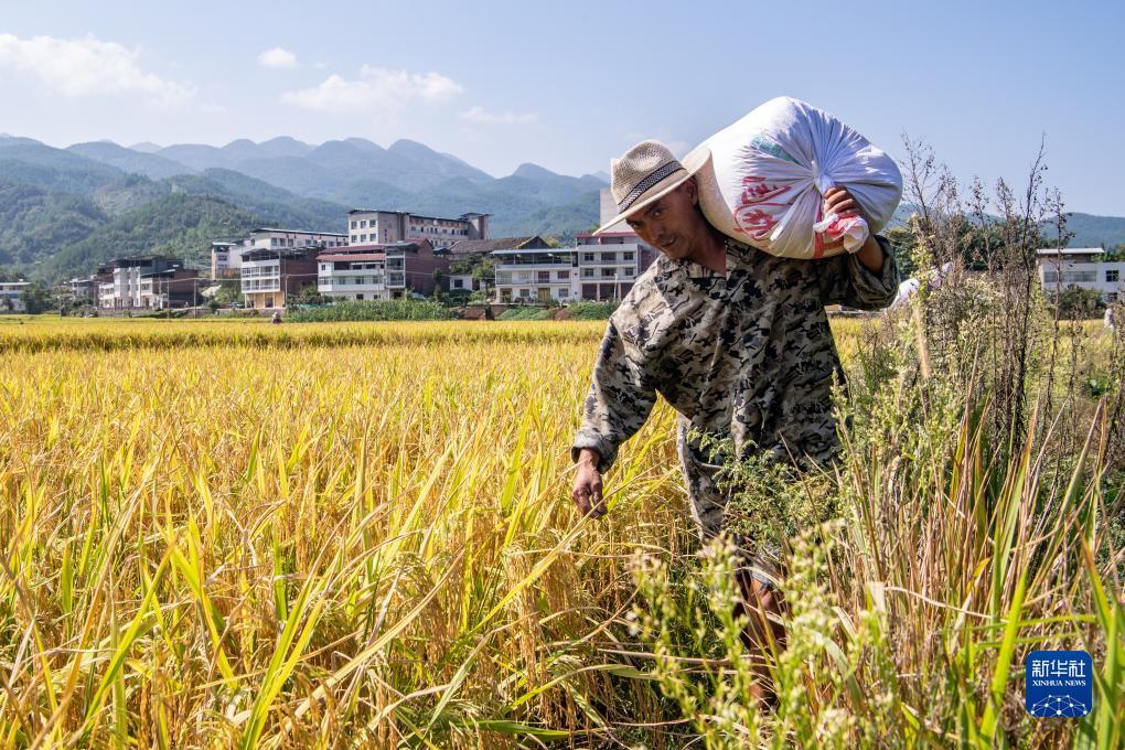街机梭哈游戏